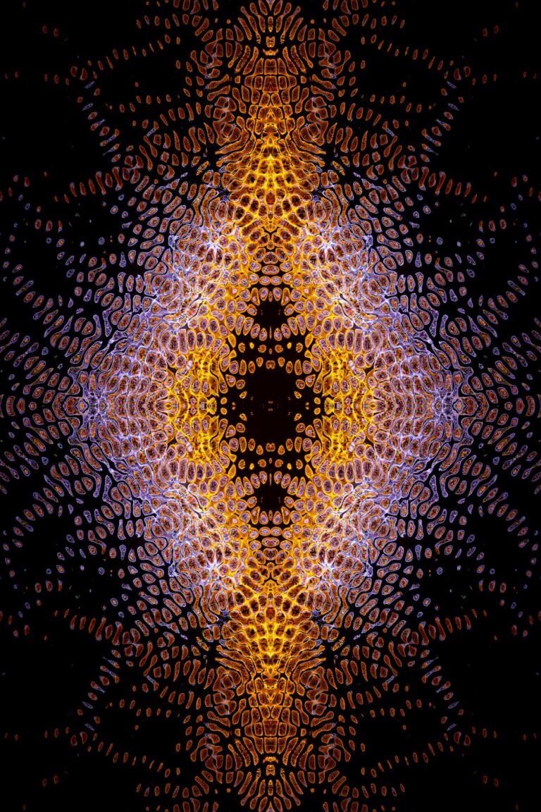 A vibrant symmetrical fractal pattern with intricate geometric shapes in orange and blue.